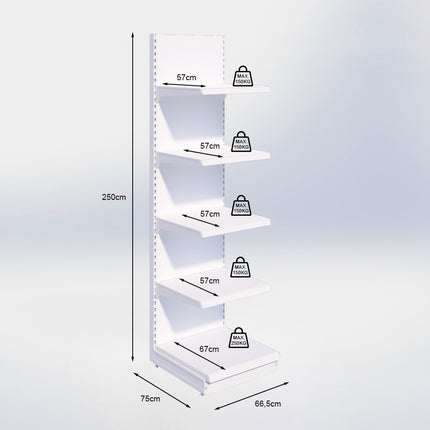 Wandstelling - H250 x B66,5 x D67 cm - 5 niveaus - Antraciet